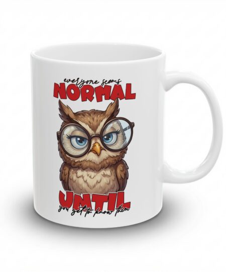 Funny Sarcastic Owl Coffee Mug - Everyone Seems Normal Ceramic Mug (11oz & 15oz)
